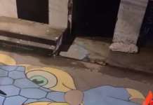 Rua Estados Unidos, no Parque das Nações, entra no clima da Copa com decoração em Caucaia