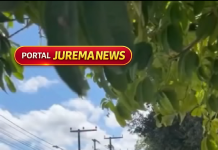 Motociclistas por aplicativo realizam manifestação e cobram diálogo com órgãos de trânsito em Maracanaú