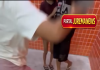 “Eu te criei para ser um homem de bem”: mãe repreende filho após condução à delegacia em Camocim