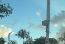 VÍDEO: momento entre policial militar e cão na Beira Mar viraliza e conquista internautas