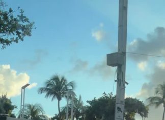 VÍDEO: momento entre policial militar e cão na Beira Mar viraliza e conquista internautas