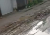 Moradores denunciam abandono e cobram pavimentação de rua no Parque Soledade, em Caucaia