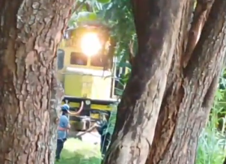 HOMEM MORRE APÓS SER ATROPELADO POR TREM DE CARGA NO BAIRRO GENIPABU