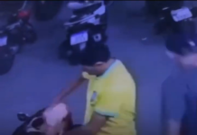 Homem com camisa da Seleção Brasileira furta picanha, cachaça e energéticos em supermercado de Maracanaú Homem com camisa da Seleção Brasileira furta picanha, cachaça e energéticos em supermercado de Maracanaú