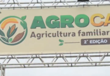 Quanto custa a Feira da Agricultura Familiar aos cofres públicos de Caucaia? Quanto custa a Feira da Agricultura Familiar aos cofres públicos de Caucaia?