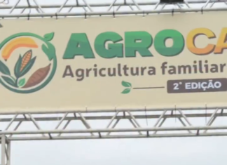 Quanto custa a Feira da Agricultura Familiar aos cofres públicos de Caucaia? Quanto custa a Feira da Agricultura Familiar aos cofres públicos de Caucaia?